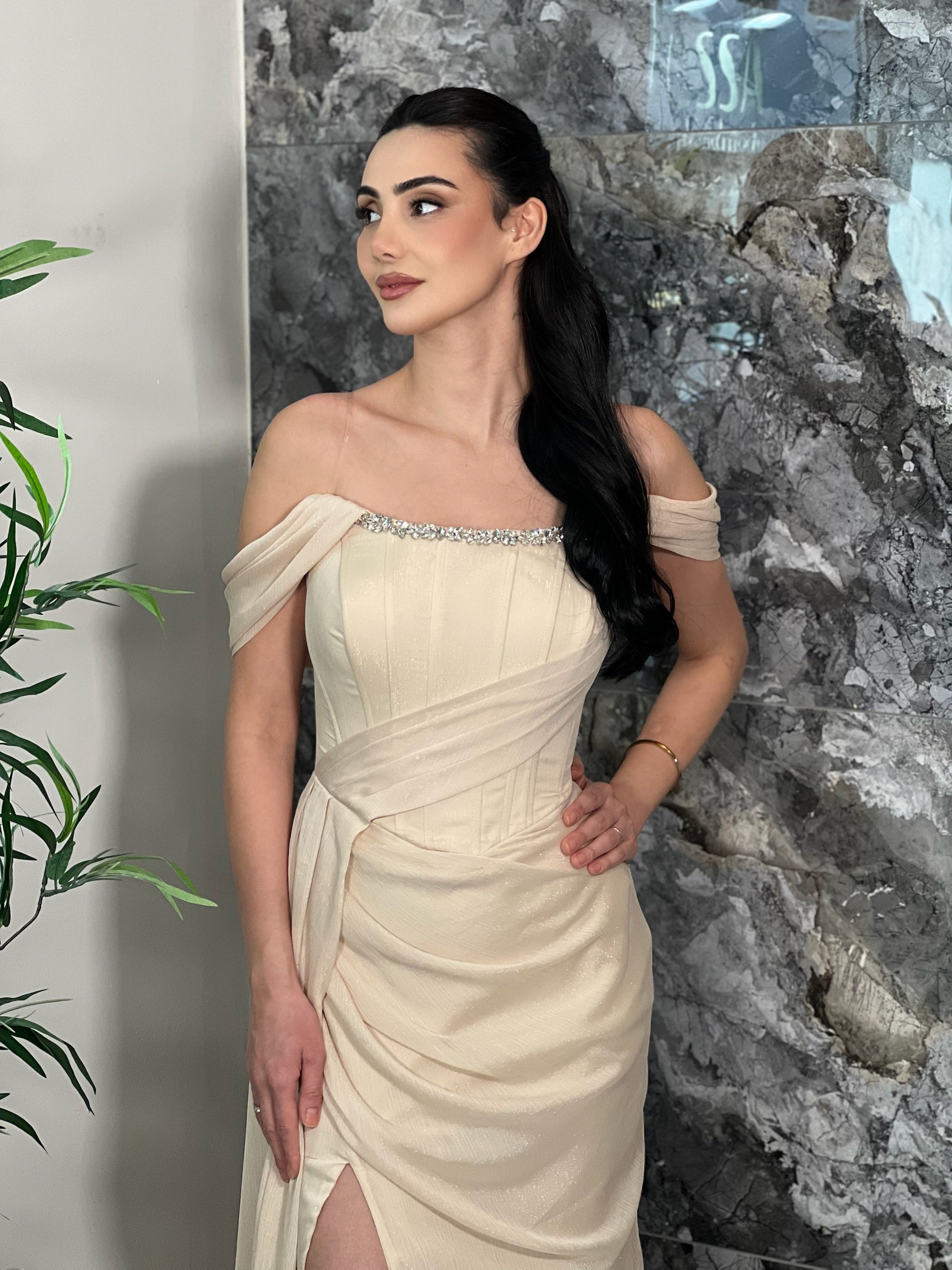 Vestido Glamuroso Atemporal