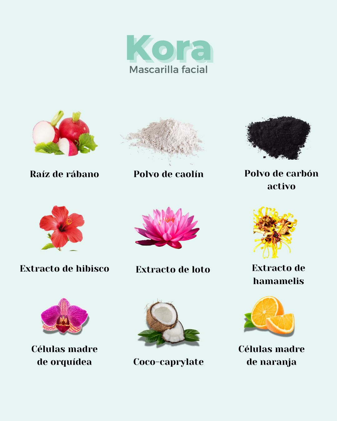 Mascarilla Kora-Pure Balance