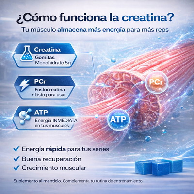 Gomitas de Creatina Aumenta Tus Glúteos