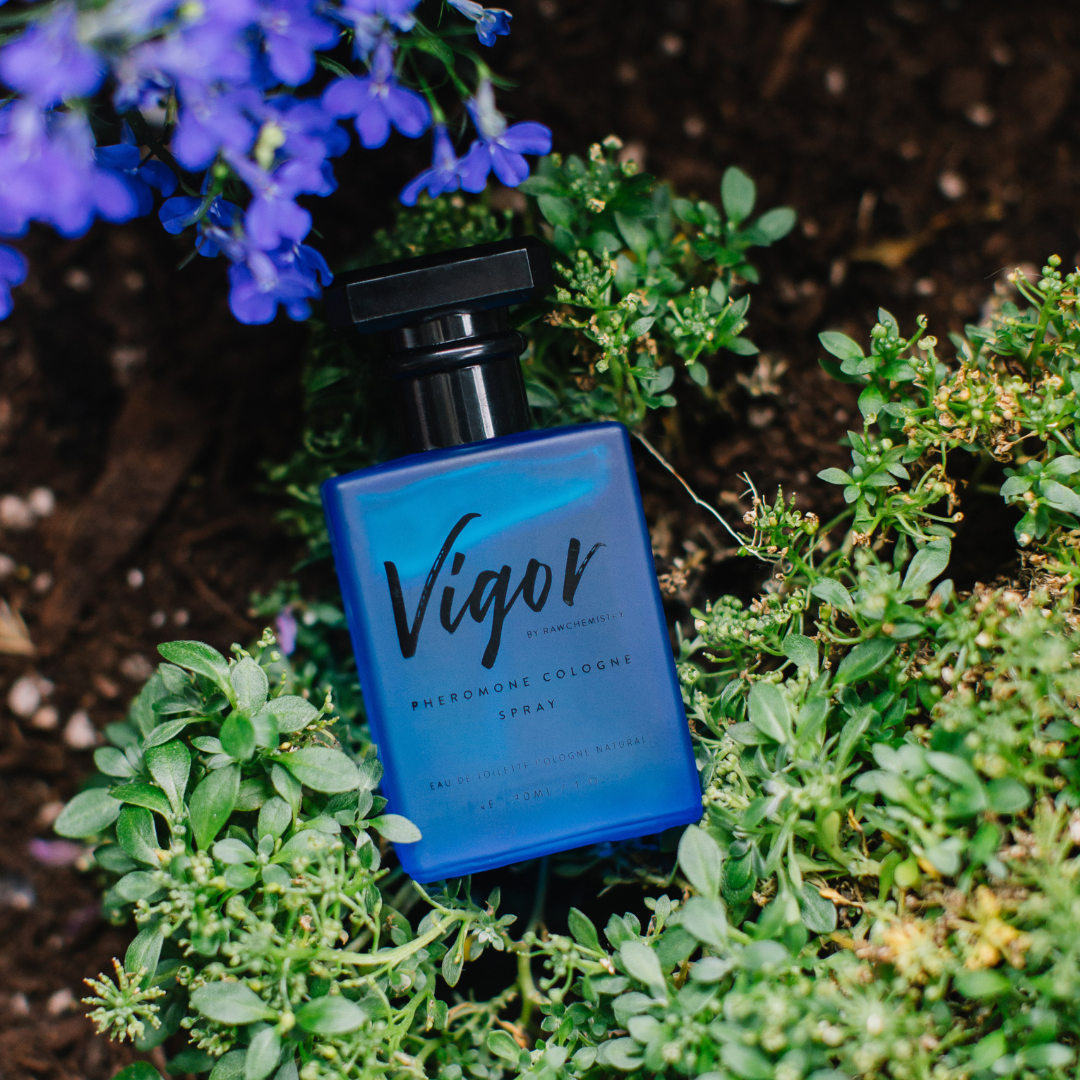 Perfume Vigor de feromonas para hombres