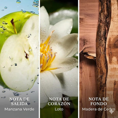 Perfume Corazón Vibrante Masculino